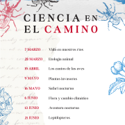 CIENCIA EN EL CAMINO: EL CANTO DE LAS AVES