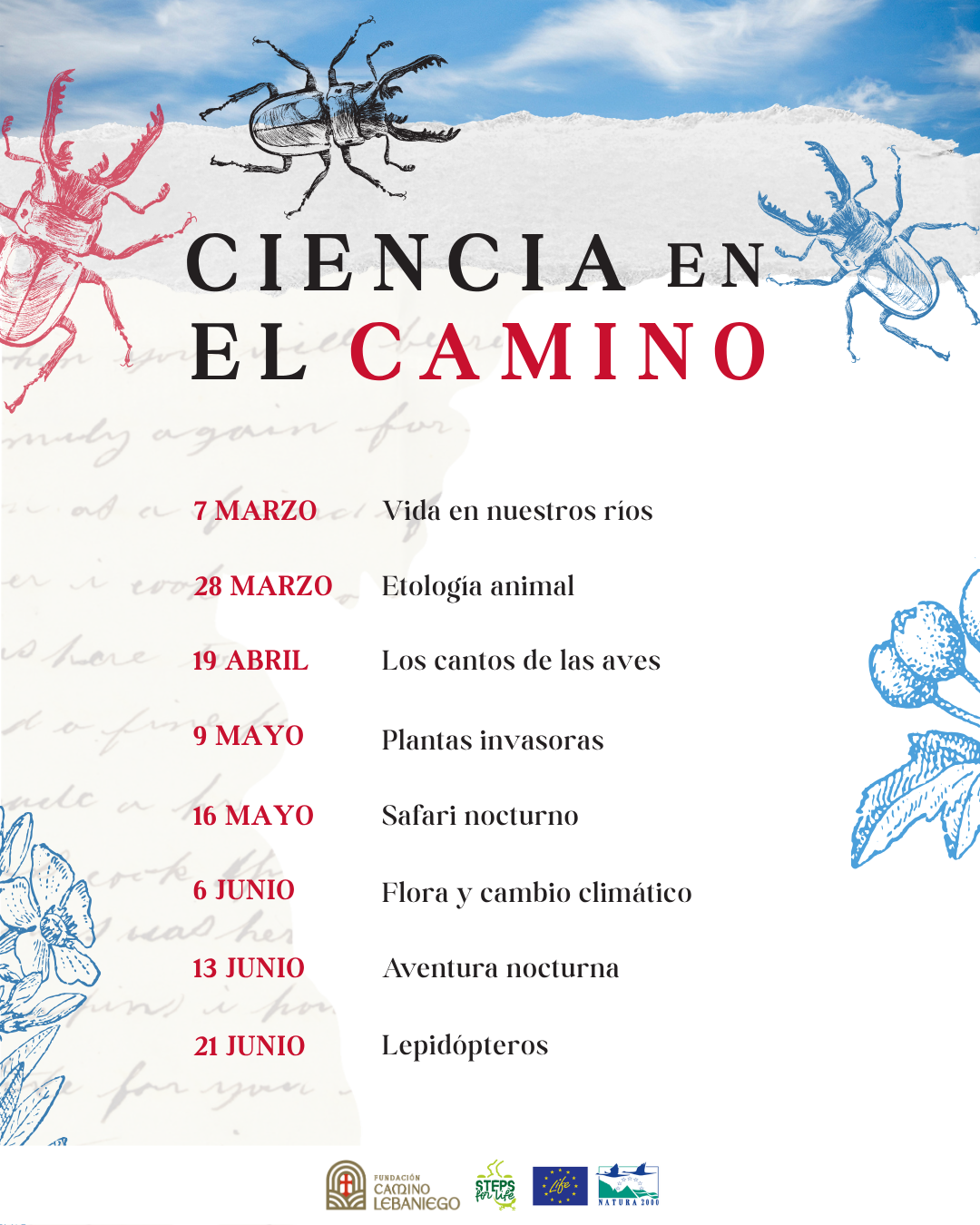 CIENCIA EN EL CAMINO: EL CANTO DE LAS AVES