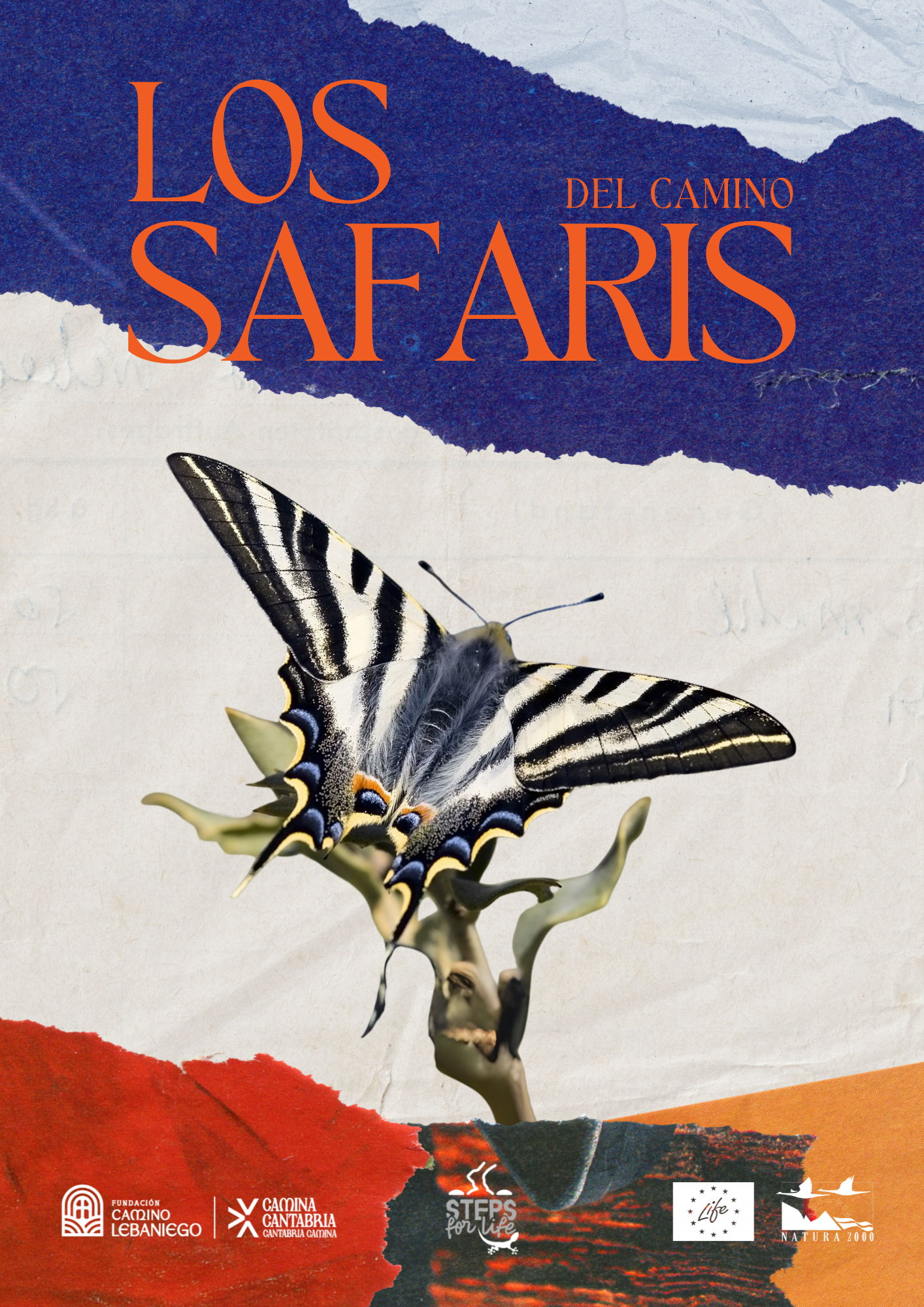 LOS SAFARIS DEL CAMINO- MARIPOSAS DE CALOCA